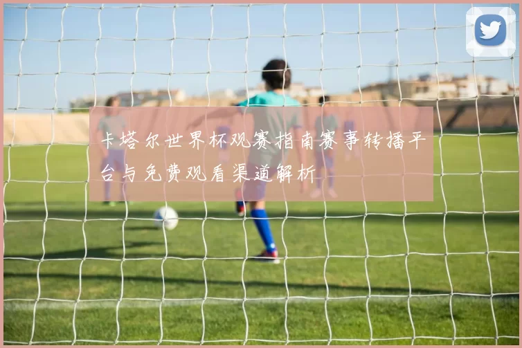 卡塔尔世界杯观赛指南赛事转播平台与免费观看渠道解析